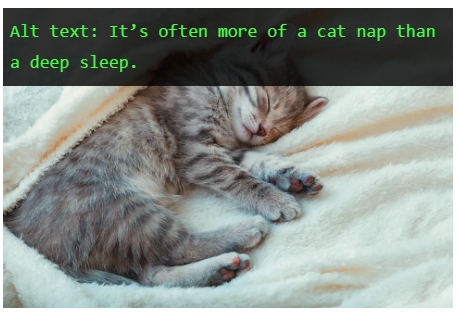 Image Alt(图片Alt标签)是什么?要怎么优化?| 霆万科技