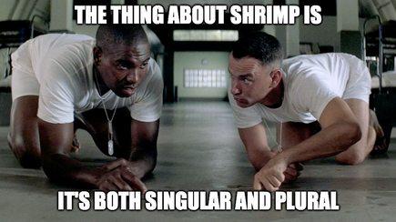 the-thing-about-shrimp